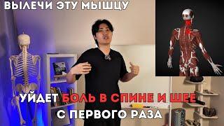 Устрани БОЛЬ В СПИНЕ И ШЕЕ с первого раза. Лучший комплекс упражнений.