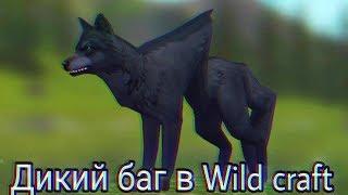 ДИКИЙ БАГ В WILD CRAFT // Баги Wild craft #2