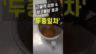 두충잎차: 근골격강화 & 항고혈압 효과