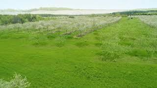 FOR SALE: Leelanau Estates - Full Virtual Tour (Created by BlueLava Media)
