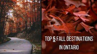 TOP 5 Fall Destinations In Ontario