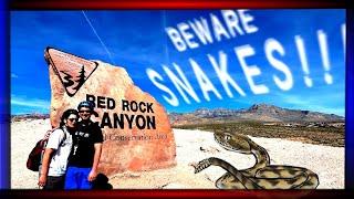 E-Biking RED ROCK CANYON Las Vegas, Nevada.  You Need To Do This!!! 4K