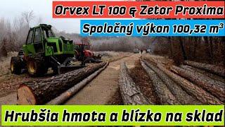 Začíname spoločne nový porast s dobrou hmotou/Zetor Proxima/Orvex LT 100/Stihl ms 461,462/@AmlesOrvexLT100