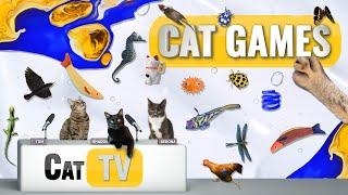 Cat Games Ultimate Cat TV Compilation Vol 74 | 2 HOURS 