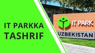 Programmer UZ IT Parkka tashrif buyurdi - IT park ekskursiya