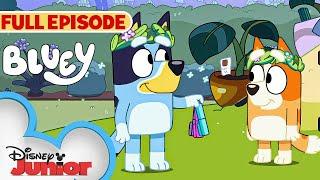 Bluey Full Episode |   Rug Island | S2 E10 | Full Episode | @disneyjr