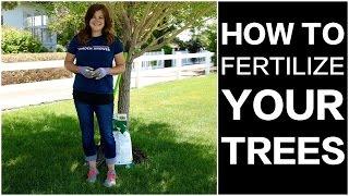 How to Fertilize Trees