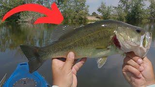 Catching Big Bass in Murky Waters