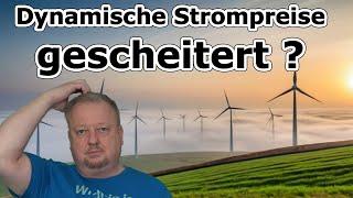 Flexibler Stromtarif mit zwei Preiszonen wirklich günstiger als dynamische Preise?