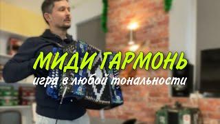 Миди гармонь. Игра в любой тональности