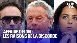 Qu'est-ce qui divise la famille Delon?