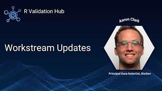 R Validation Hub Workstream Updates