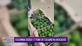 Colombia Seizes 1.7 Tons of Cocaine in Avocados