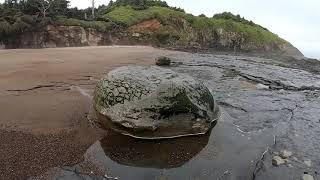 Biological-tendon balls on the beach