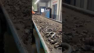 Sorting Line