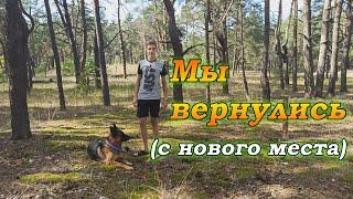 Мы вернулись | Почему долго не было видео | Юный собаковод | Немецкая овчарка