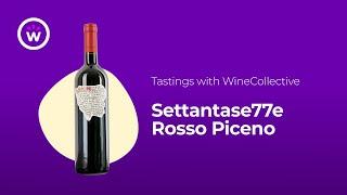 Wine Tastings with WineCollective | Settantase77e Rosso Piceno