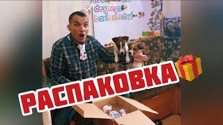 Распаковка подарков от нашей стаи