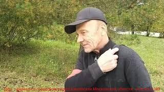 Шаховская - Дор Выборы 17.09.2021