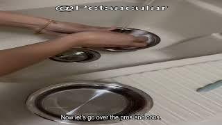 Stainless Steel Removable Pet Bowl Review: Is It the Right Choice for Your Small Pets?
