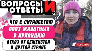 Вопросы Украинских беженцев:Ввоз животных в Ирландию|Что с СитиВестом|Отказ от беженства и переезд|