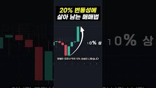 20% 변동성에 살아 남는 매매법