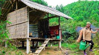 An incident happened that made single mother Ly Tu Nga worried -when she returned to her old house