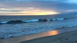 吃货小分队三周年庆Bonfire Party at Dockweiler Beach