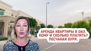 Аренда квартиры в ОАЭ. Кому и сколько платить? Готовлюсь к переезду. Где я живу в ОАЭ?