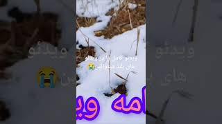 پدر جان چرا در این صفر تنها رفتی 