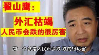 翟山鹰：外汇枯竭 很多地方都会显现 人民币会跌的很厉害