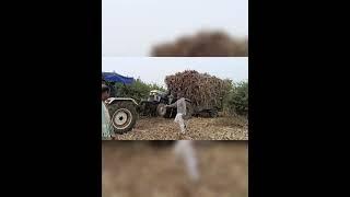 आयशर ट्रेक्टर उठ गया || Eicher 485 with sugar cane trolley fas gaya pulling by new haland 3630