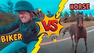 13 Bikers Having A Worse Day Than You | THE BEST MOTO MOMENTS [Ep.#2]