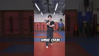 Karate vs Wing Chun #karate #wingchun #kungfu #mma