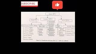 classification of protein #protein #classification #dear #shorts