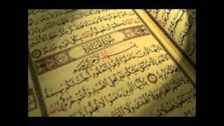سورة المائدة من الآية 37 41 للقارئ مشاري العفاسي