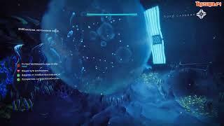 Секрет, аквариум третья неделя Триумф ОРАНЖЕРЕЯ Destiny 2 Сумеречное растение Сумеречная флора