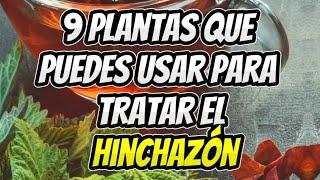 Plantas medicinales para decir adiós a la hinchazón y el ardor #medicinanatural #shorts