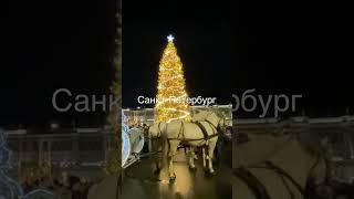 Санкт-Петербург Новый год