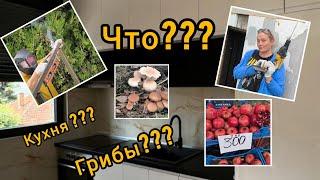 #vlog ЖИЗНЬ В СВОЁМ ДОМЕ В СЕРБИИ. №49