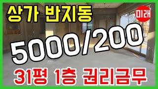 창원 상가 임대 반지동 31평 빈점포 1층 5000/200 권리금무 N 18697