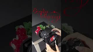 ️️Studio Whimsy️️ | Prologue | teaser 2
