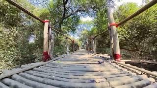 Nature walk | Thane Creek flemingo Sanctuary #nature #flemingosanctuary @DineshGohil