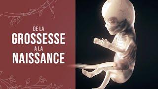 De la grossesse à la naissance d'un miracle