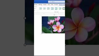 Add Artistic Effects (Filters) to Images in Microsoft Word  #shorts