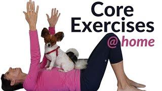 Easy Core Exercises for Beginners-Intermediate Home Routine (20 Minutes)