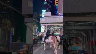 Should #police #horses be allowed on Times Square? #timessquare #nyc #newyork #usa #travel