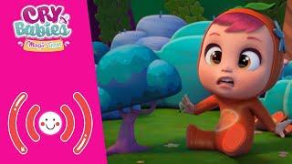  BEST MOMENTS  CRY BABIES  MAGIC TEARS  Full Episodes  CARTOONS in ENGLISH