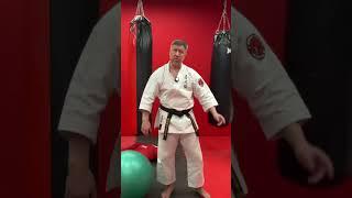 Как нужно заниматься #контроль #развитие #karate #gojuryu #спорт  #mma #martialarts #japanese