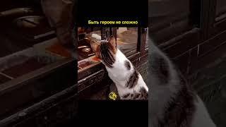 Герой — это не обязательно тот, кто спасает мир.